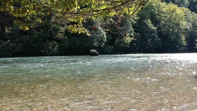 View from the shore of blue river in green valley among a dense forest.Landscape of Kolpa, Slovenia