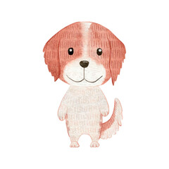 Cute red and white setter. Vector watercolor illustration isolated on white background.