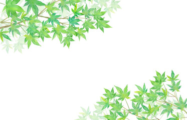 新緑のモミジのフレーム、水彩イラスト（透過背景）
