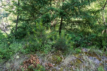 A beautiful view on Mount Olympus National Park in Greece