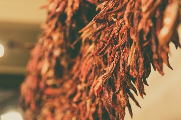 Closeup shot of a string of dried red hot peppers - obrazy, fototapety, plakaty