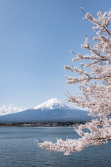 Mount Fuji seen from Lake Kawaguchi in spring, Kawaguchiko, Yamanashi Prefecture, Japan