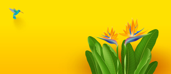Tropical exotic flowers and hummingbird on a yellow  background. Vector illustration.