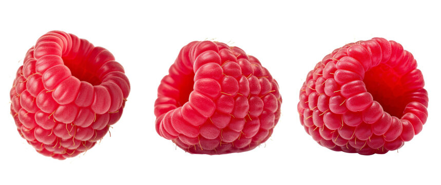 Collection or set of various fresh ripe raspberries isolated on white background