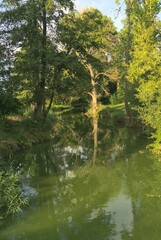 Vertical shot of an autumn landscape with river and trees with green leaves reflecting there