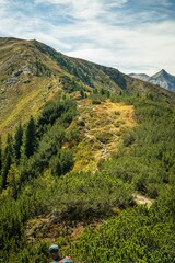 Naklejka premium Vertical shot of a mountain of green trees and a male hiker walking up the height