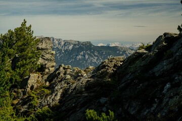 Closeup shot of rocky heights and green trees on a mountainside in Austria