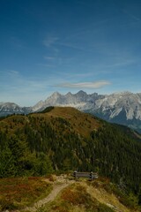Obraz premium Vertical shot of a wooden bench with a picturesque view of a mountainside of green trees