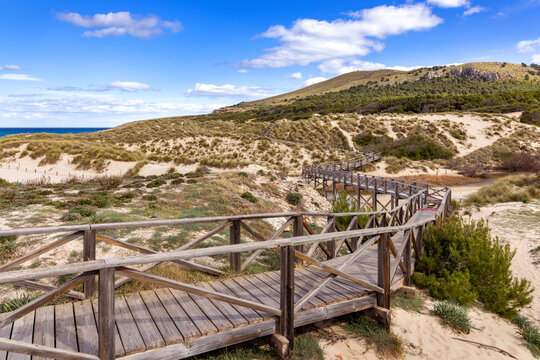 Wooden walkway through sand dunes at Cala Mesquida, Mallorca, Balearic Islands, Spain