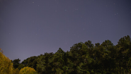 Beautiful view of a starry sky over the forest with trees