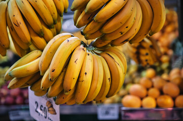 Closeup of  bunches of bananas hanging in the market in Valencia, Spain