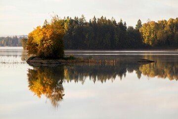 Scenic view of a coastline with the reflection of the trees on the surface of the water