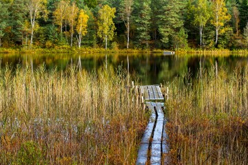 Narrow wooden dock in a field surrounded by a lake in autumn in the countryside