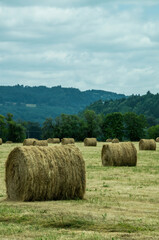 Vertical shot of haystacks in a field with lush trees in the background
