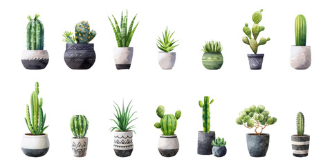 Set of watercolor cactus plants on white background. - obrazy, fototapety, plakaty