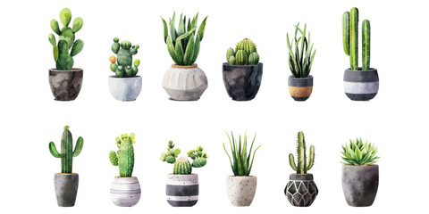 Set of watercolor cactus plants on white background.
