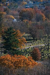 Beautiful Autumn vibes in Mount Auburn Cemetery with yellow trees in Massachusetts