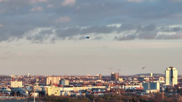Kite at the Drachenberg with Berlin skyline - golden hour shot