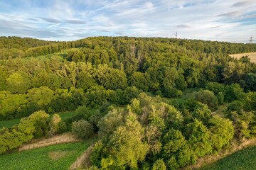 Fototapeta na wymiar Juicy Green Summer - Nature and Crops near Bassenheim, Germany