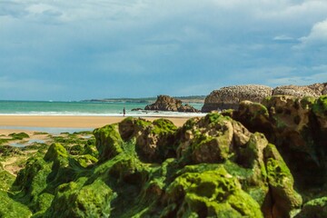 Beautiful shot of mossy rock formations on a sunny seashore