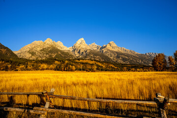 Scenic view of rocky mountains with a yellow grass field in the foreground in a rural area