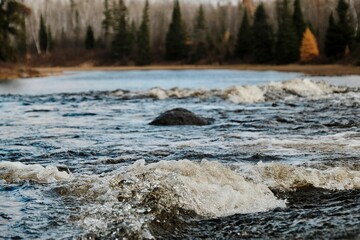 Selective focus shot of waves of a lake with trees in the background