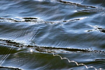 Closeup shot of a fishing line in the water - obrazy, fototapety, plakaty
