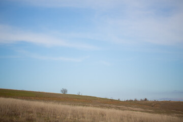 A blue sky with white clouds and a strip of land overgrown with grass
