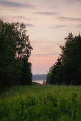 Fototapeta na wymiar Vertical shot of a green field and lush trees on the coast of a lake in the evening
