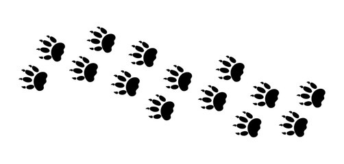 There are many traces of silhouettes of black paws of a wild tiger. Vector illustration