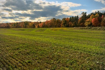 Beautiful view of green grass field under a cloudy sky