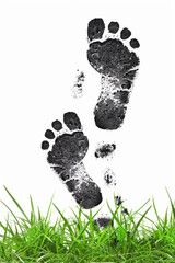 A pair of black and white feet are imprinted in the grass. Concept of movement and life, as if the feet are leaving a trail behind them