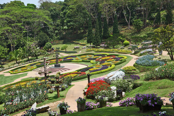 Magnificent park in Thailand - 781995028