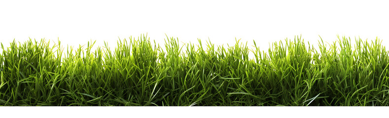 Fototapeta premium Grass border isolated on white background, png photo with green grass5, generative ai