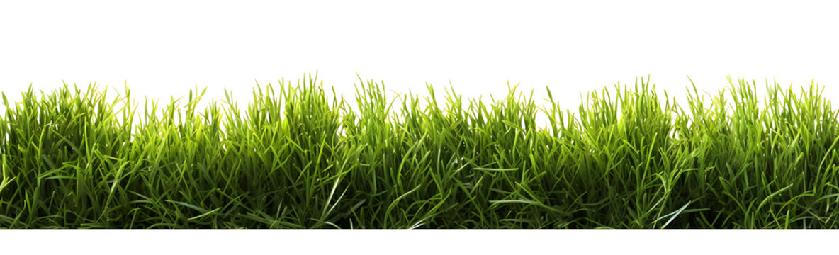 Grass border isolated on white background, png photo with green grass5, generative ai