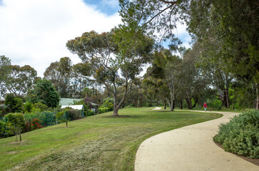 Fototapeta na wymiar a peaceful walking path meandering through a lush public park with eucalyptus trees and some suburban houses in the neighborhood. Bacchus Marsh VIC Australia