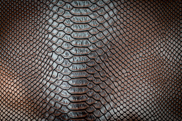 Brown snake skin texture pattern can see the surface details.