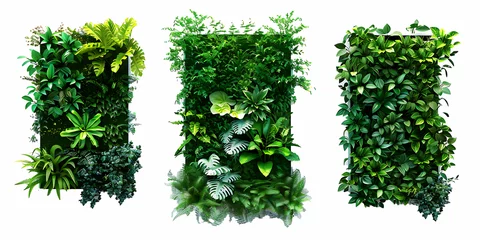Poster Set of square plants wall, vertical garden with greenery isolated on white background, generative ai © Abul