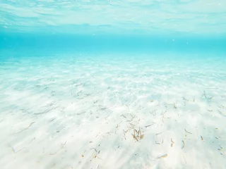Crédence de cuisine en verre imprimé Turquoise Underwater view with transparent sea ocean water and white sand. Caribbean maldive concept summer holiday vacation