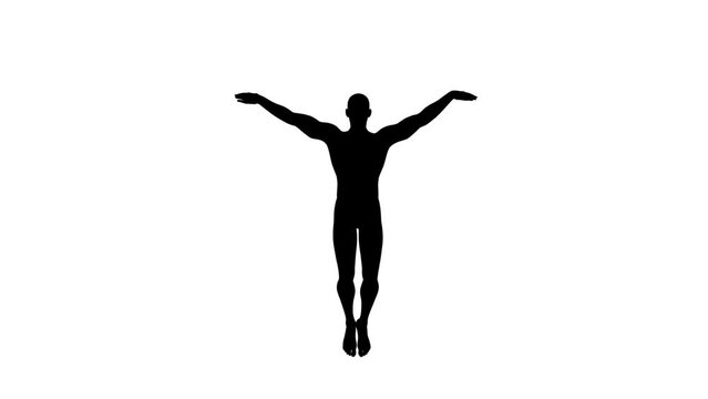 3D Render :  a silhouette male character perform butterfly style swimming  with white background, Bottom view
