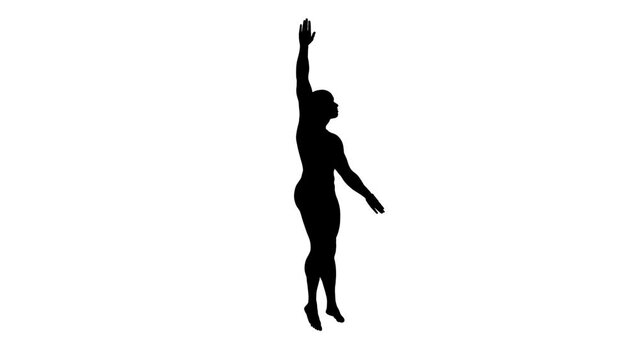 3D Render :  a silhouette male character perform Freestyle style swimming  with white background, Top View
