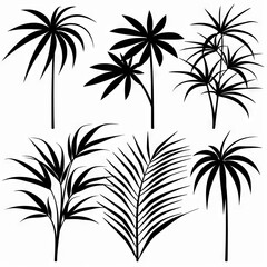 Parlor Palm (Chamaedorea Elegans, Neanthe Bella Palm) Pot Plant Icon Set, Parlor Palm Plant Icon