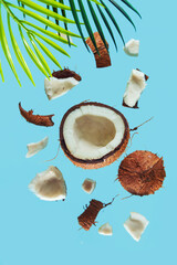 Broken coconut and palm leaf on a blue background. - 782006694