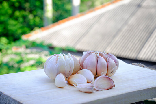 fresh garlic to be used as a seasoning 