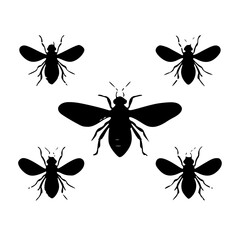 bug svg, beetle svg, svg bundle, insects svg, svg bugs, bug clipart, svg	bugs bundle svg, line art svg, Bugs Silhouette, insects clipart, outline bugs, Insect, insect, ant, bug, beetle, spider, vector