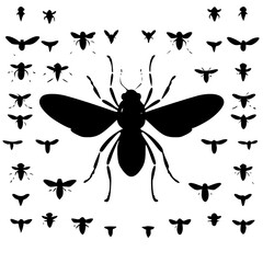 bug svg, beetle svg, svg bundle, insects svg, svg bugs, bug clipart, svg	bugs bundle svg, line art svg, Bugs Silhouette, insects clipart, outline bugs, Insect, insect, ant, bug, beetle, spider, vector