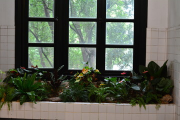 Golden kudzu, Spathiphyllum, Philodendron, Calathea orbifolia, Acanthus, and Anthurium beside the entrance
