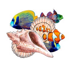 Illustrated composition of marine elements such as fish, shells and corals