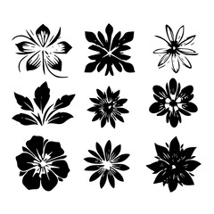 flower, flower silhouette, flower outline, herb svg, herb png,floral, pattern, vector, set, nature, flowers, design, illustration, art, seamless, spring, summer, decoration, plant, ornament, collectio