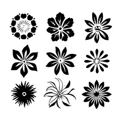 flower, flower silhouette, flower outline, herb svg, herb png,floral, pattern, vector, set, nature, flowers, design, illustration, art, seamless, spring, summer, decoration, plant, ornament, collectio